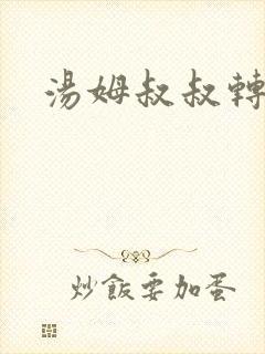 汤姆叔叔转接口