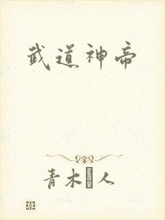 武道神帝