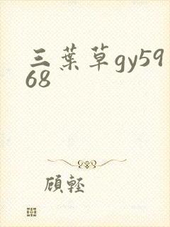 三叶草gy5968