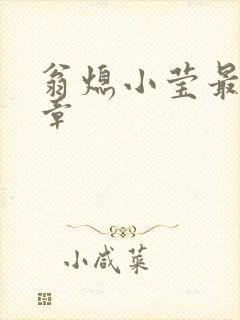 翁熄小莹最新节章