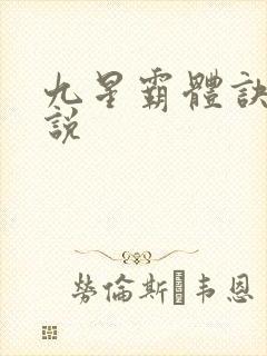 九星霸体诀 小说