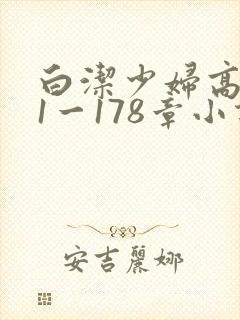 白洁少妇高义第1一178章小说封面