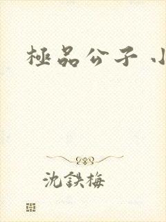极品公子 小说
