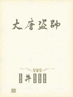 大唐盗帅