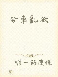 公车乱欲