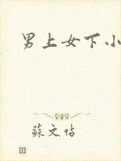 男上女下小说