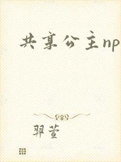 共享公主npc封面