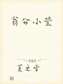 翁公小莹