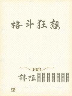 格斗狂想