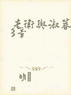 老卫与淑蓉第13章