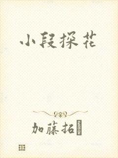小段探花