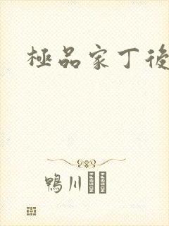 极品家丁后传