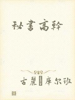 秘书高干