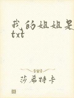 我的姐姐是美女txt封面