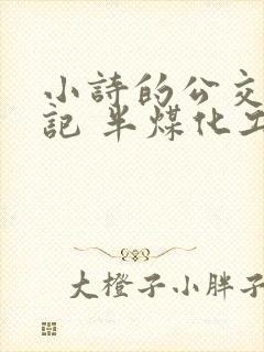 小诗的公交车日记 半煤化工