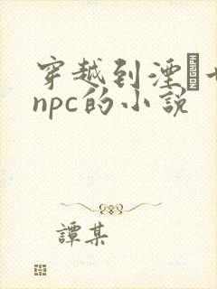 穿越到湮婸世界npc的小说