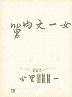 np肉文一女多男
