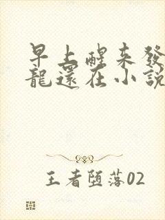 早上醒来发现巨龙还在小说
