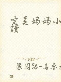 完美妈妈小说阅读