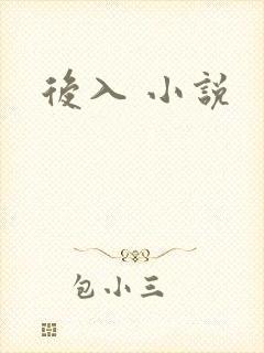 后入 小说