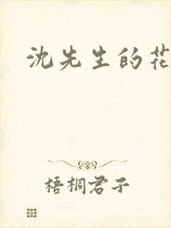 沈先生的花式