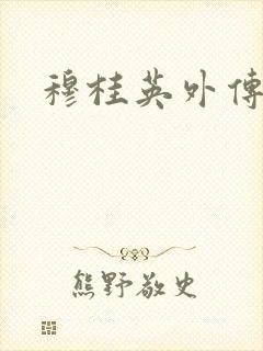 穆桂英外传