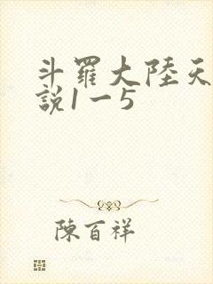 斗罗大陆天狂传说1一5