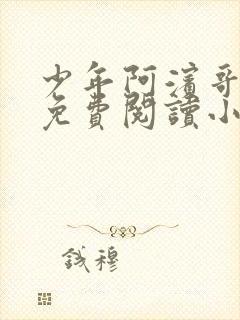 少年阿滨哥全文免费阅读小说封面