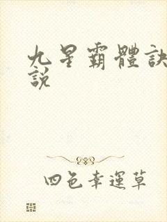 九星霸体诀 小说