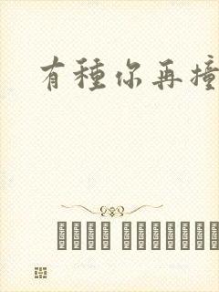 有种你再撞一下