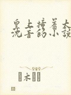 皇上撞着太子妃沈音的小说叫什么封面