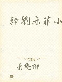 干刘亦菲小说