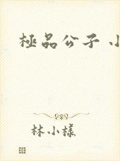 极品公子 小说