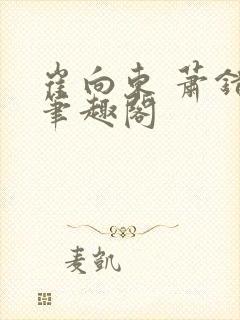 崔向东 萧错 笔趣阁封面