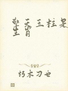 擎天玉柱是什么生肖