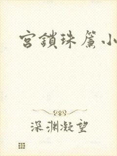 宫锁珠帘小说