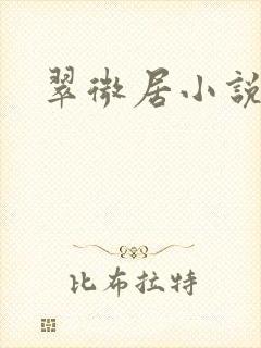 翠微居小说