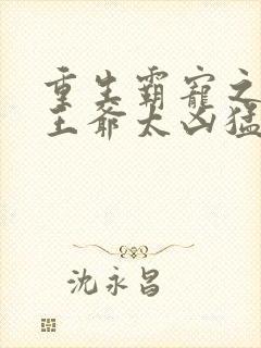 重生霸宠之摄政王爷太凶猛