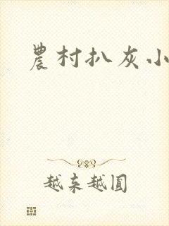 农村扒灰小说封面