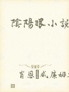 阴阳眼小说