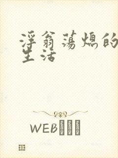 浮翁荡熄的幸福生活封面