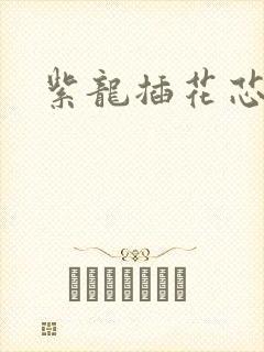 紫龙插花芯方正