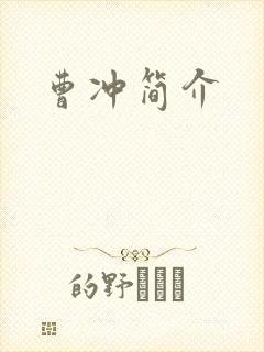 曹冲简介封面