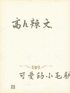 高h辣文封面