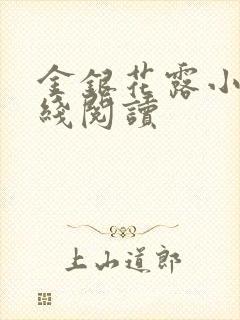 金银花露小说在线阅读封面