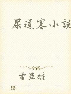 尿道塞小说
