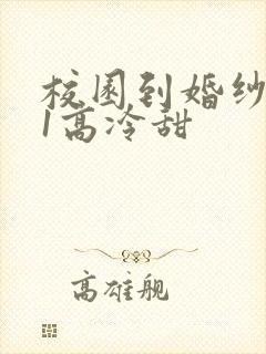 校园到婚纱1V1高冷甜