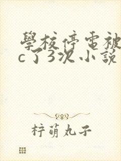 学校停电被同桌c了3次小说封面