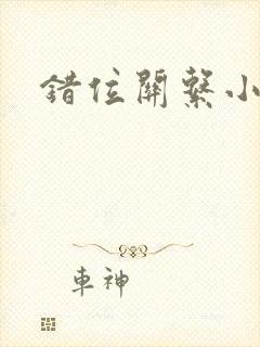 错位关系小说