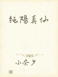 纯阳真仙